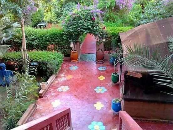 Hotel Chez Ali à Zagora Extérieur photo
